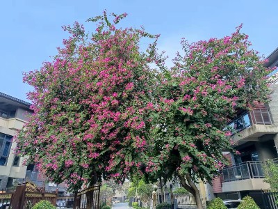 2022年1月份公司温泉之旅